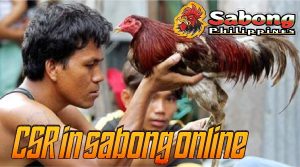 What is CSR in sabong online?