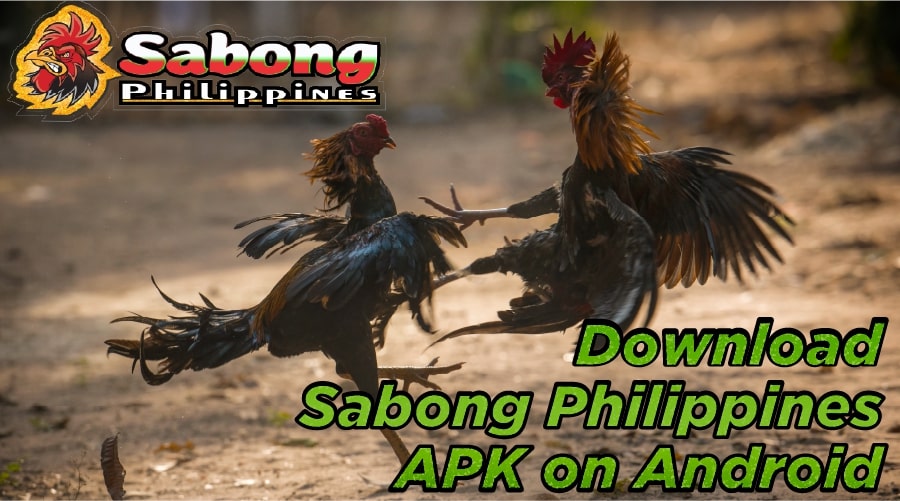 Download the Sabong Philippines file APK on Android