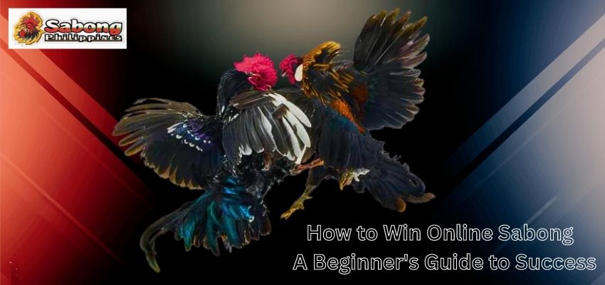 How to Win Online Sabong: A Beginner's Guide to Success