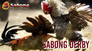 What is sabong derby?