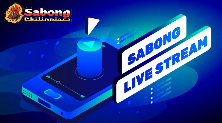 What is sabong live stream?