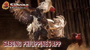 Sabong Philippines App