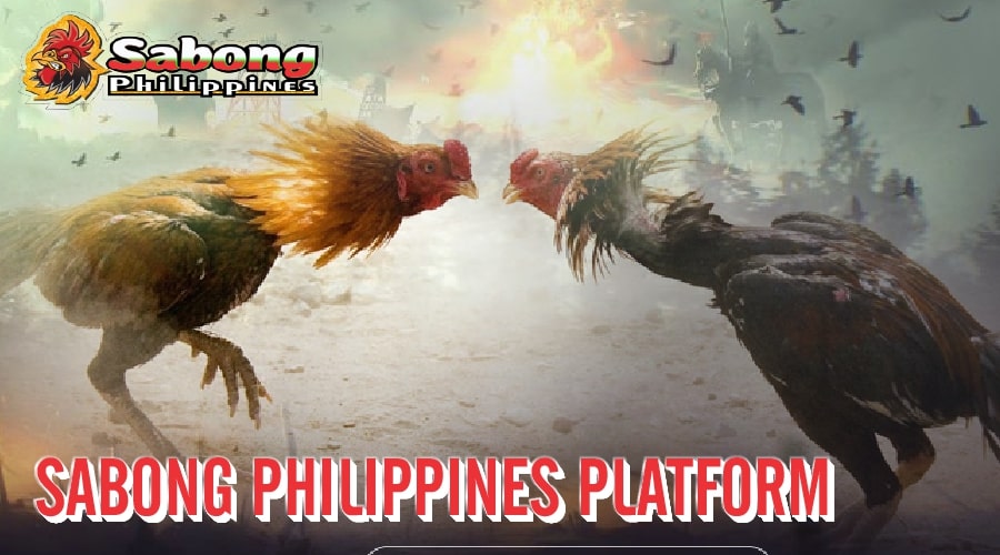 Choose Sabong Philippines Platform